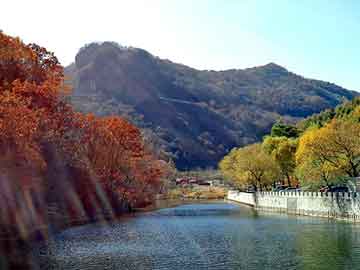 管家婆黑白马报图库，龙岗装饰